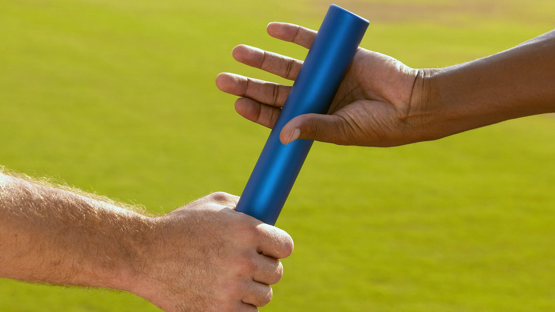 开云官方网-选手该项目体能分配策略科学合理